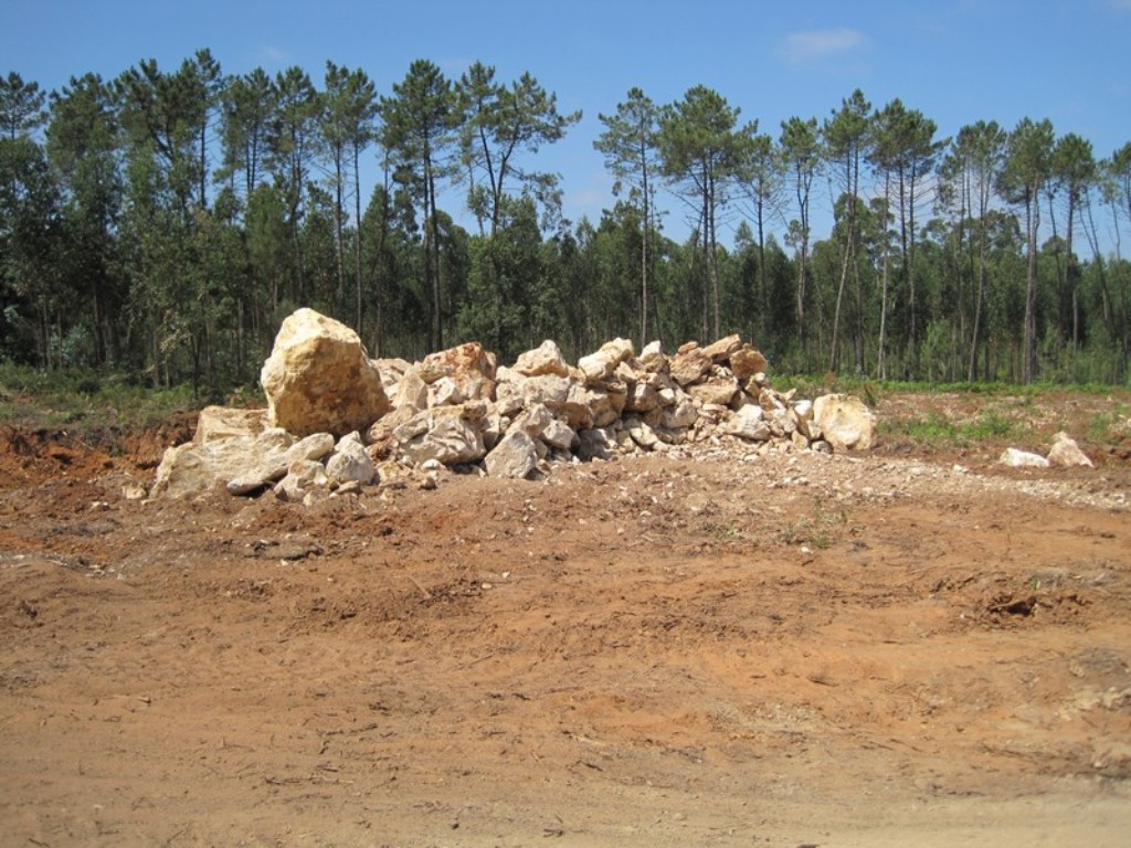 Cantera de Piedra Caliza